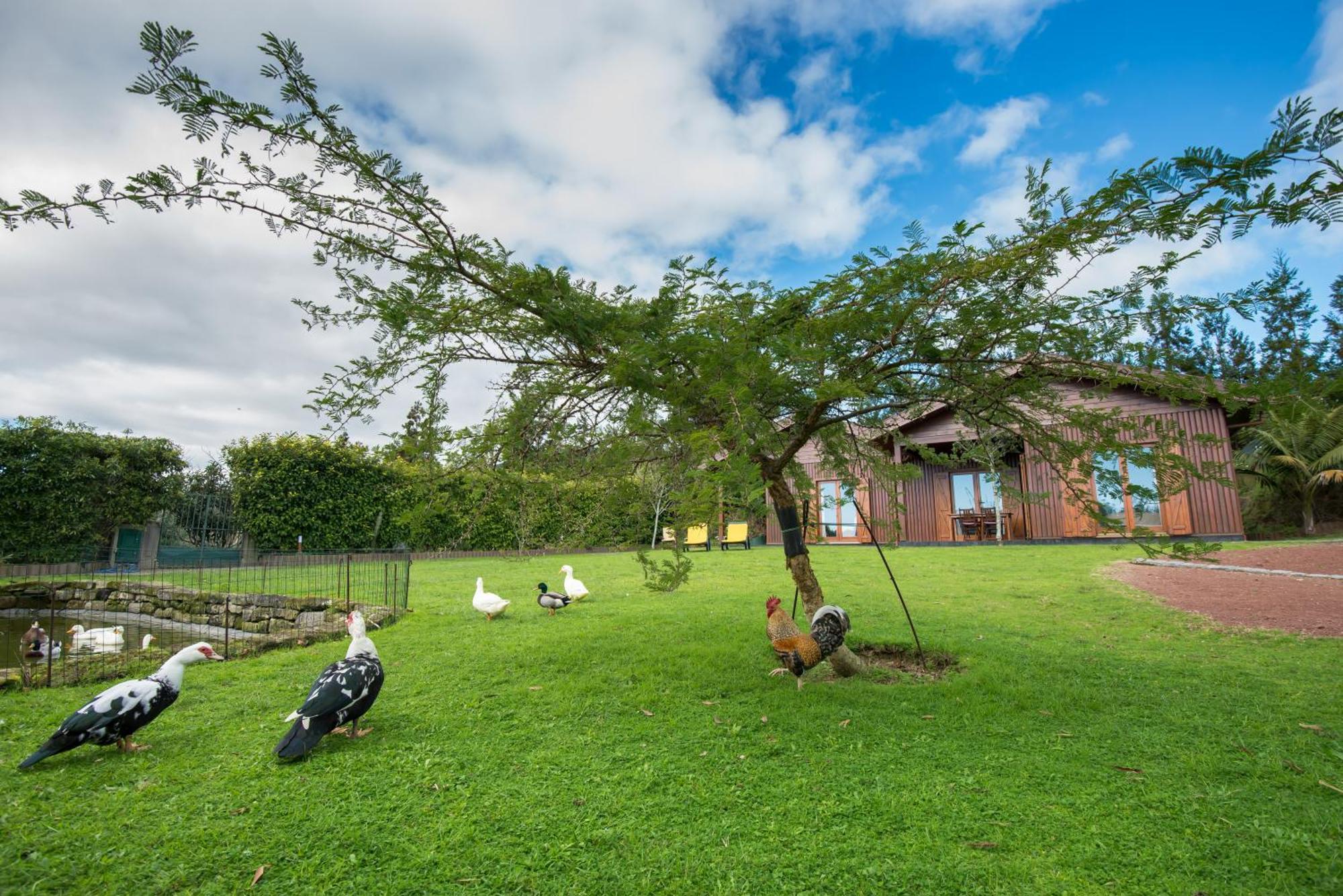 Quinta Dos Curubas Βίλα Vila Franca do Campo Εξωτερικό φωτογραφία