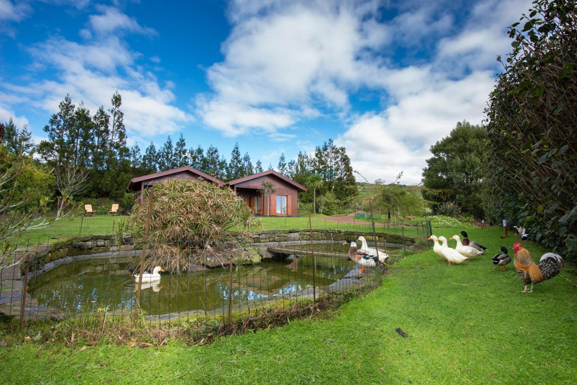 Quinta Dos Curubas Βίλα Vila Franca do Campo Εξωτερικό φωτογραφία